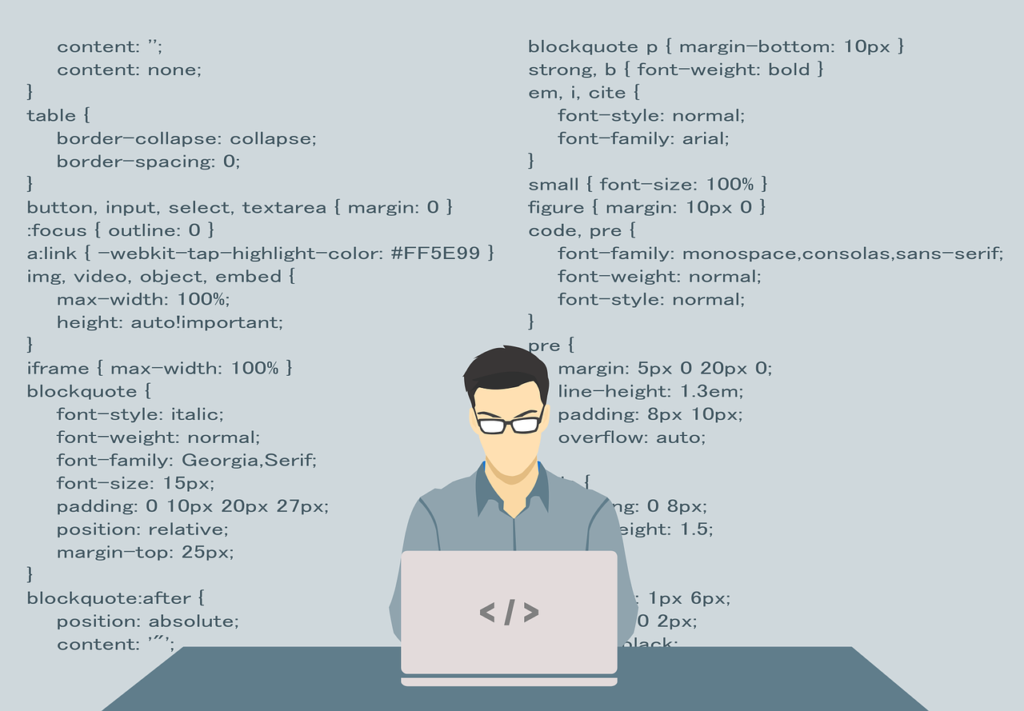 proffesion of a programmer